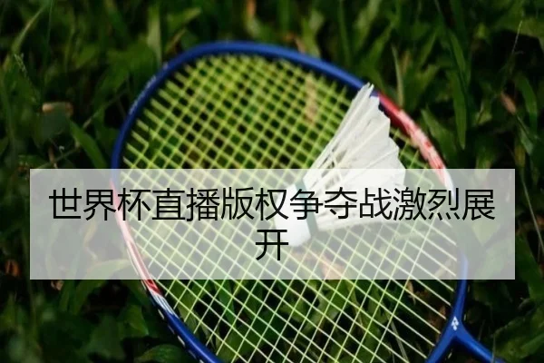 世界杯直播版权争夺战激烈展开