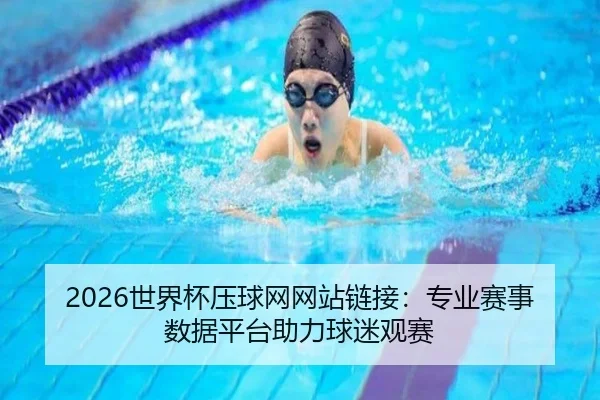 2026世界杯压球网网站链接：专业赛事数据平台助力球迷观赛